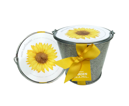 Garden in a Pail Mini Sunflowers | Summer & Fall Flowers