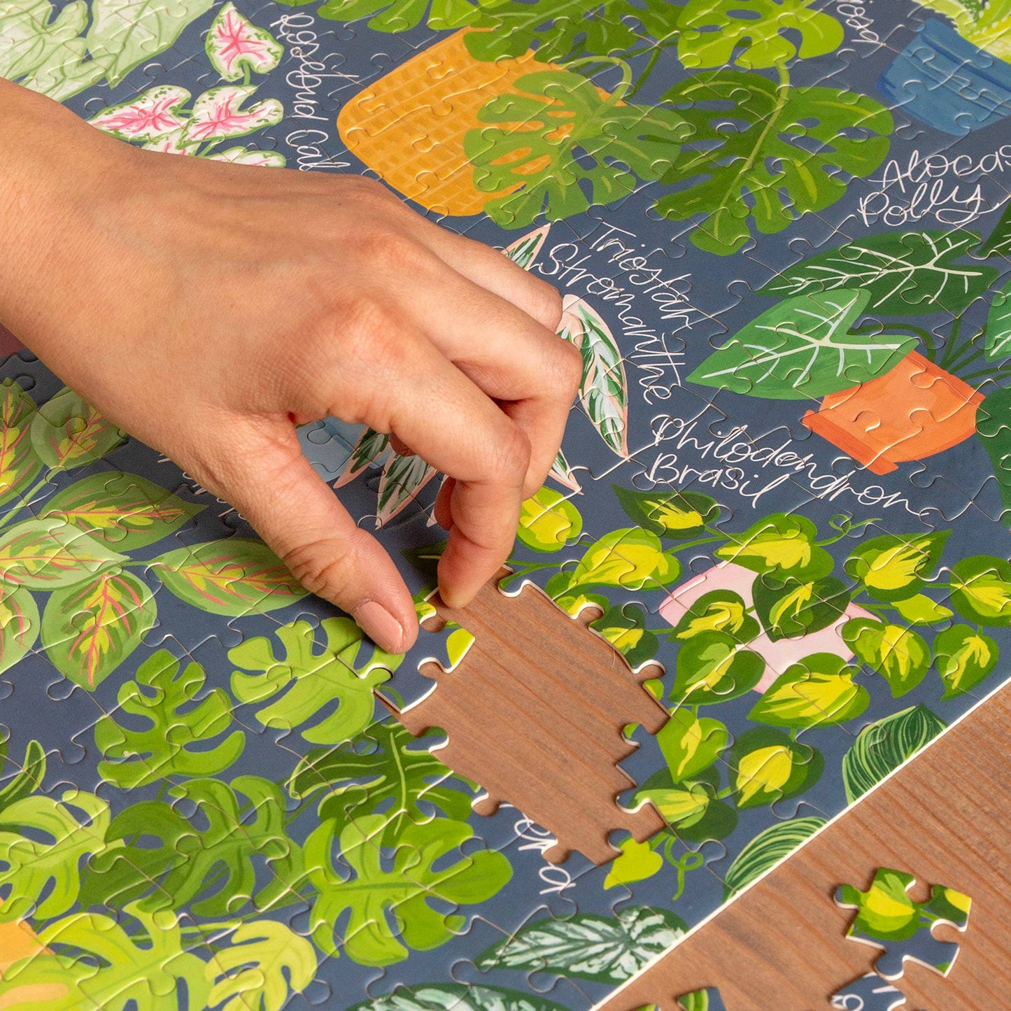 Houseplant Jungle - 500 Piece Jigsaw Puzzle