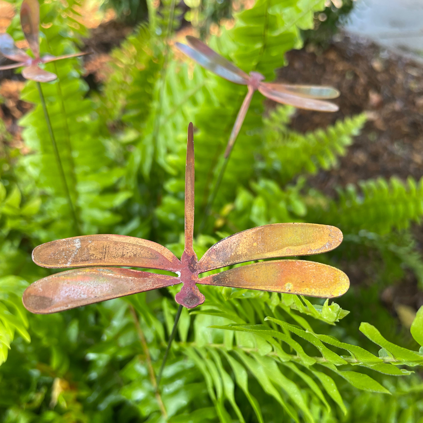 Medium Natural Copper Dragonfly