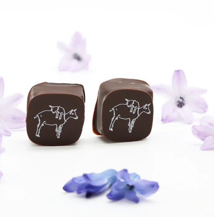 2 Piece Chocolate Covered Caramel Candy Gram