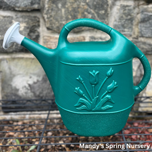 2 Gal. Hunter Green Watering Can w/ Floral Design