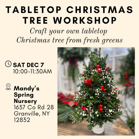 Make Your Own Tabletop Christmas Tree - Saturday, Dec 7 @ 10:00am