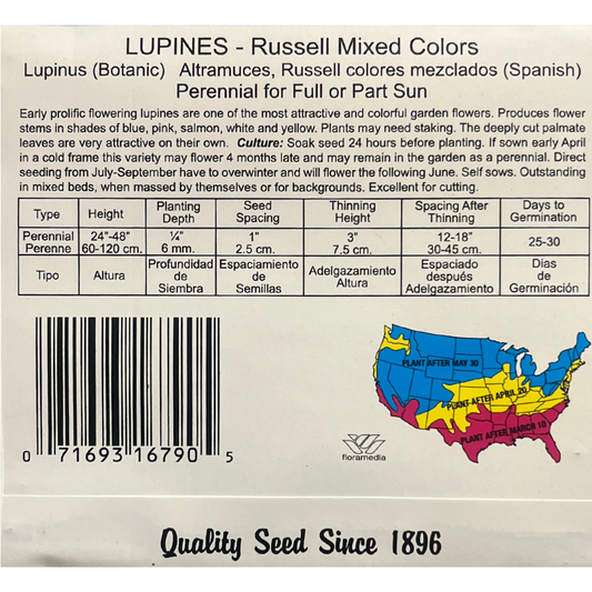 Lupine - Russell Perennial Hybrid Mix Seeds