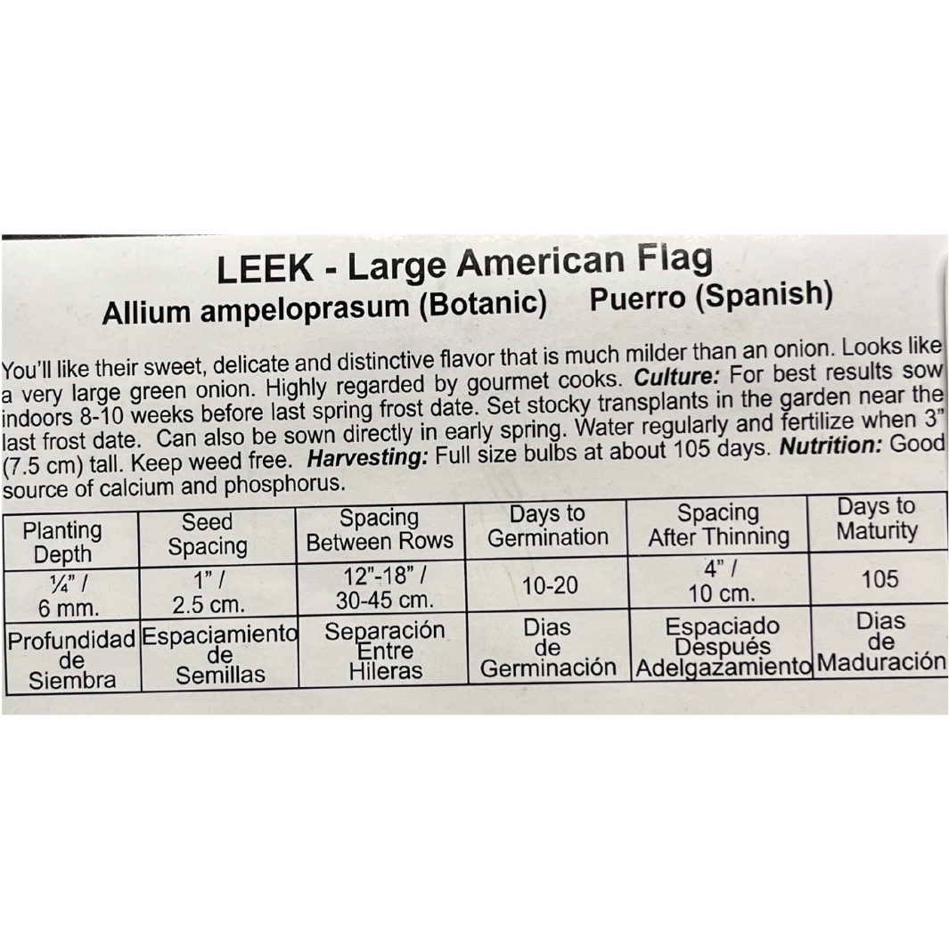 Leek, American Flag Seeds