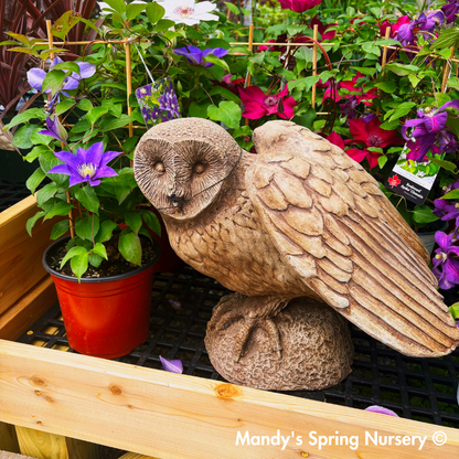 Barny Garden Statue