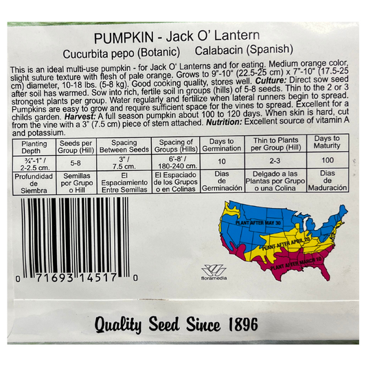 Pumpkin, Jack O' Lantern