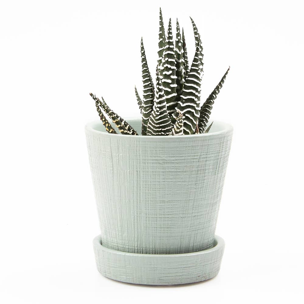 Mick Planter Pots With Drainage Holes Bulk SALE SALE