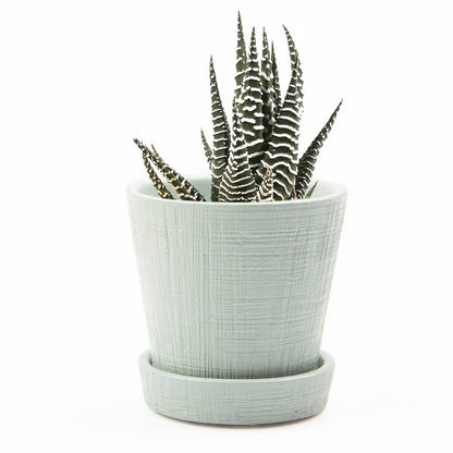 Mick Planter Pots With Drainage Holes Bulk SALE SALE