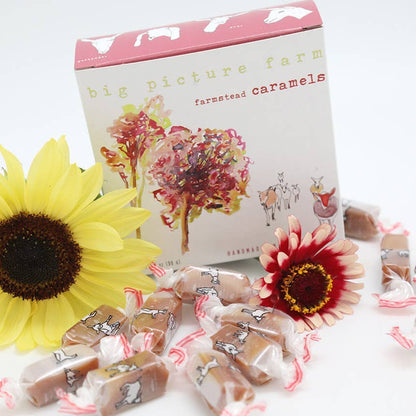 Fall Foliage Caramel Box | Vermont | 8 Flavors 