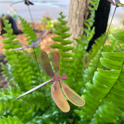 Medium Natural Copper Dragonfly