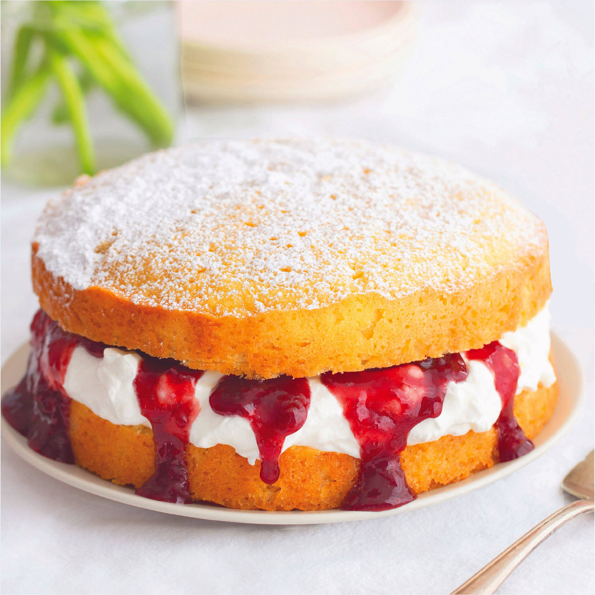 Raspberry Hibiscus