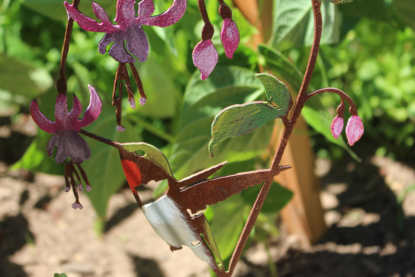 Hummingbird on Fuchsia Pick -Painted