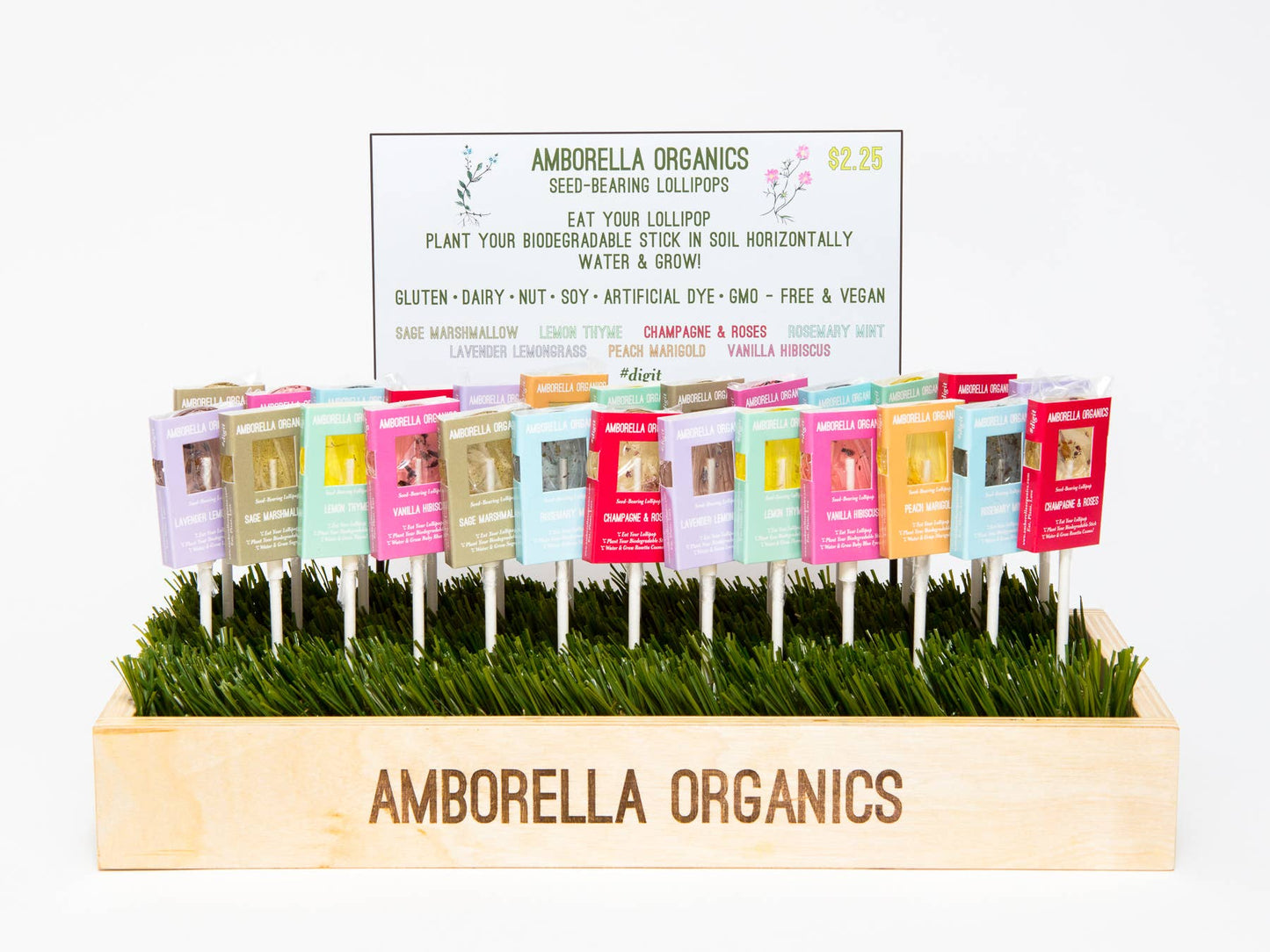 Blooming Lollipop (Eat, Plant & Grow an Herb/Flower)