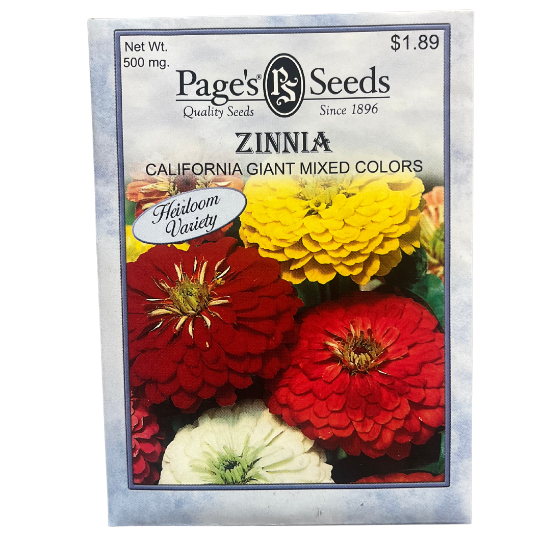 Zinnia - California Giant Mix Seeds