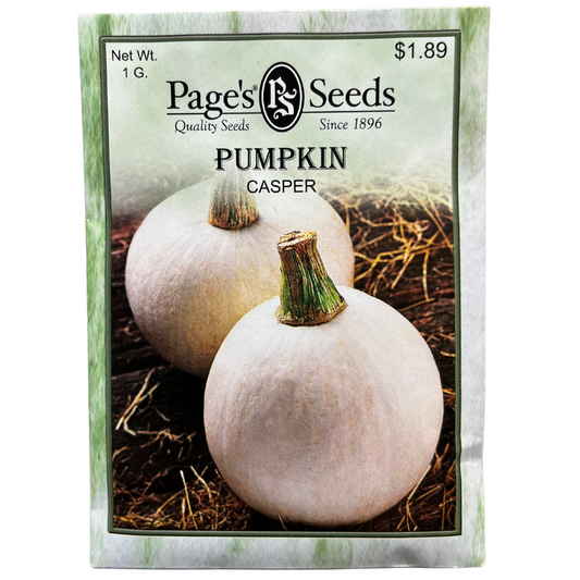 Pumpkin, Casper Seeds