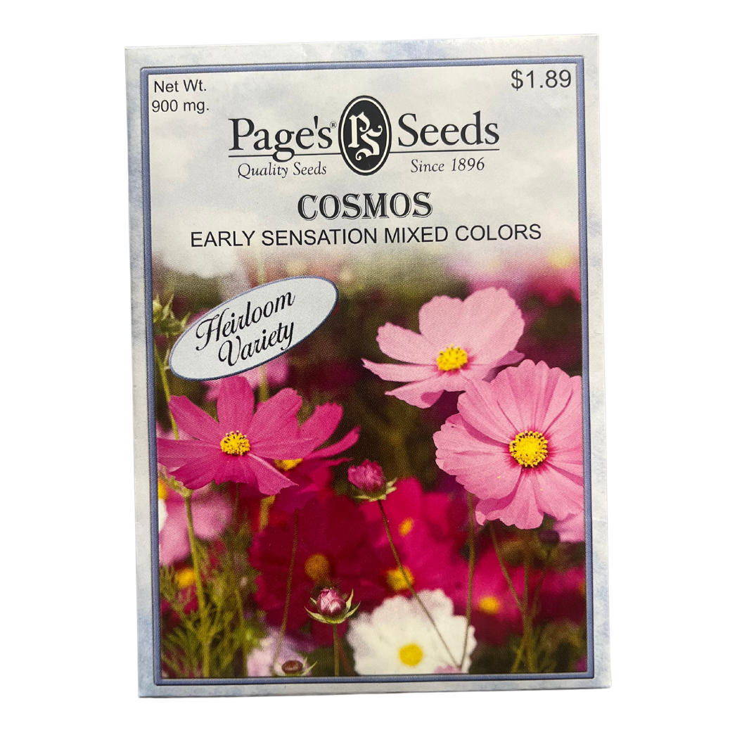 Cosmos - Early Sensation Seeds