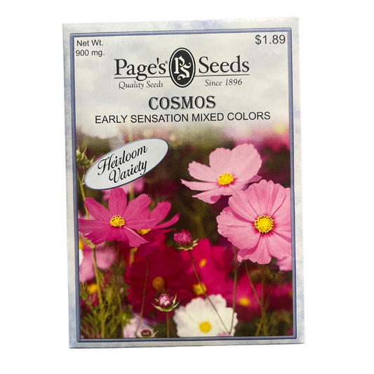 Cosmos - Early Sensation Seeds
