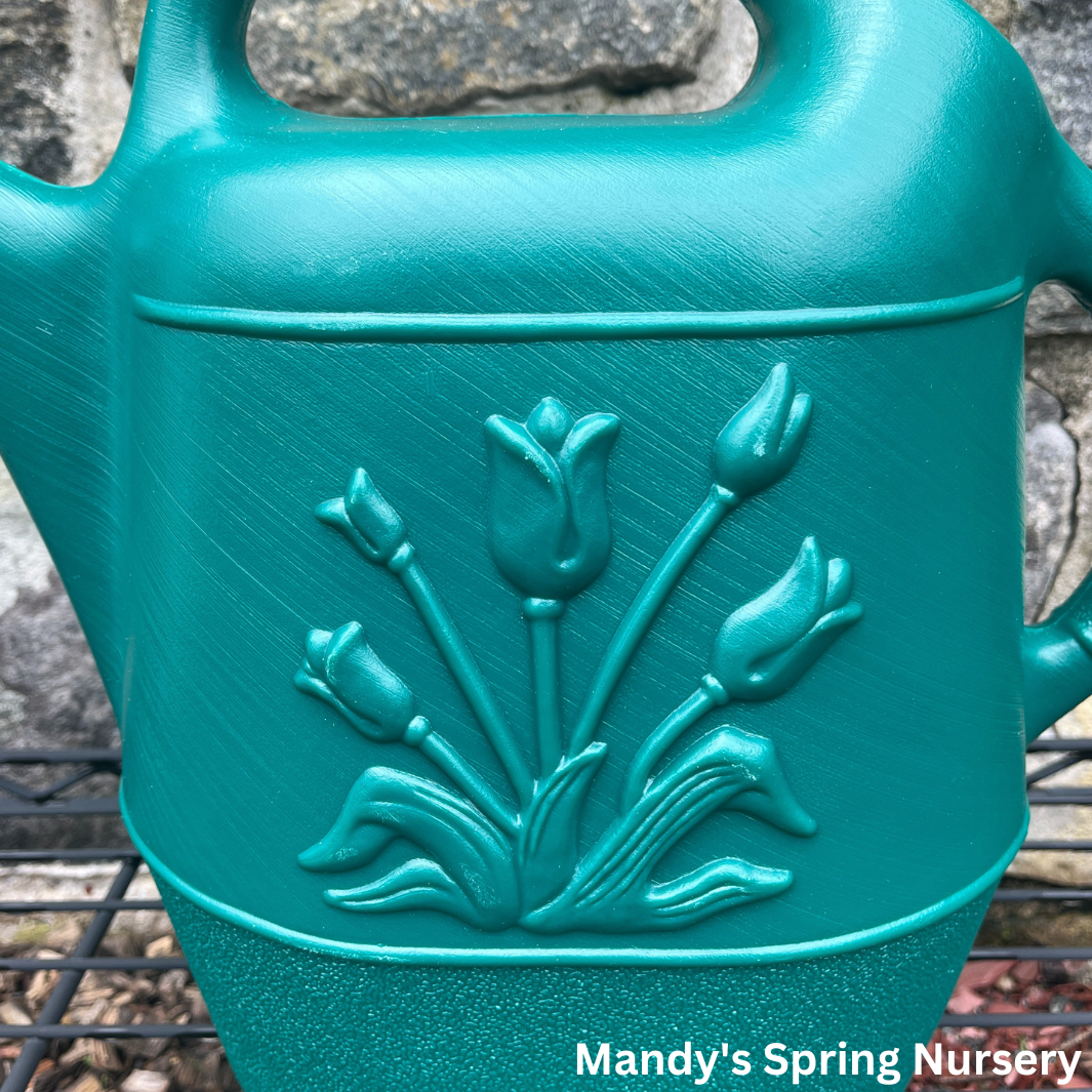 2 Gal. Hunter Green Watering Can w/ Floral Design