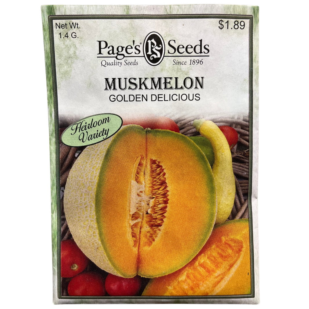 Muskmelon, Golden Delicious Seeds