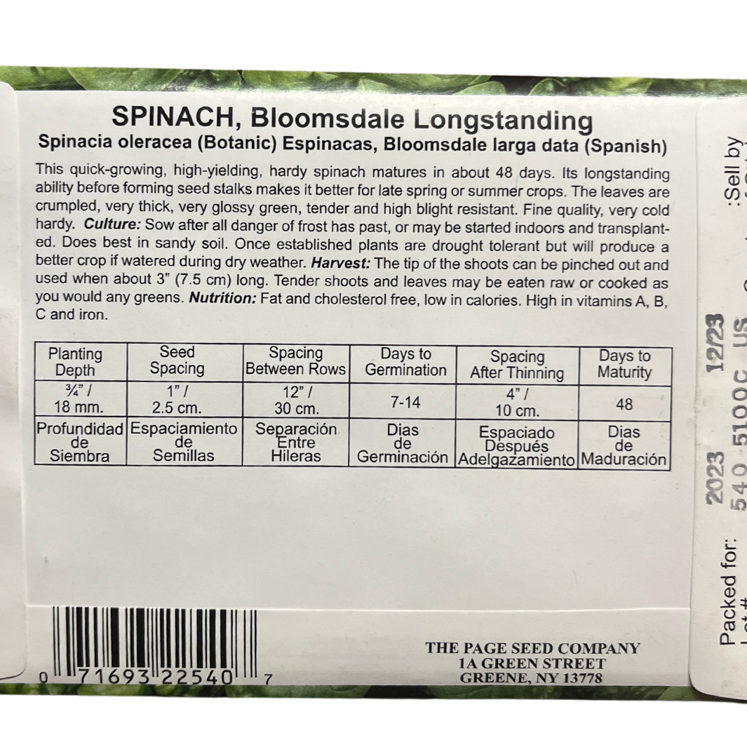 Spinach, Bloomsdale Longstanding