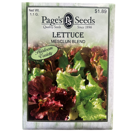 Lettuce - Mesclun Blend Seeds