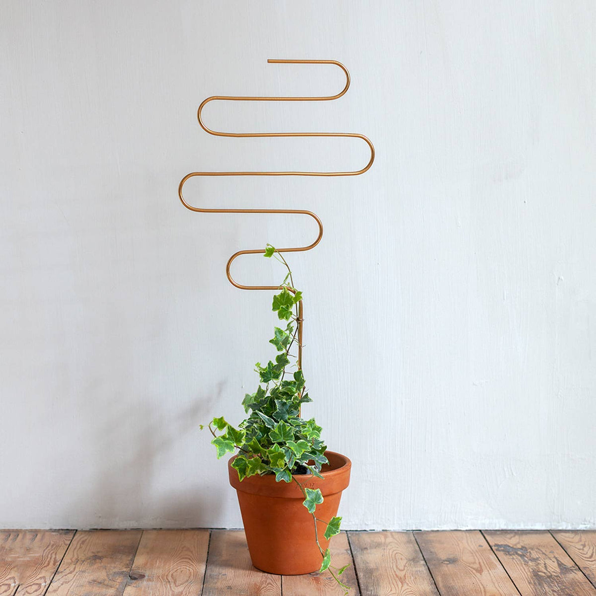 Golden plant stake from metal - Squiggle