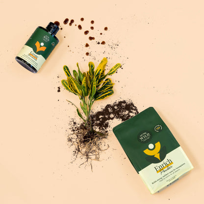 Plant Food Kit