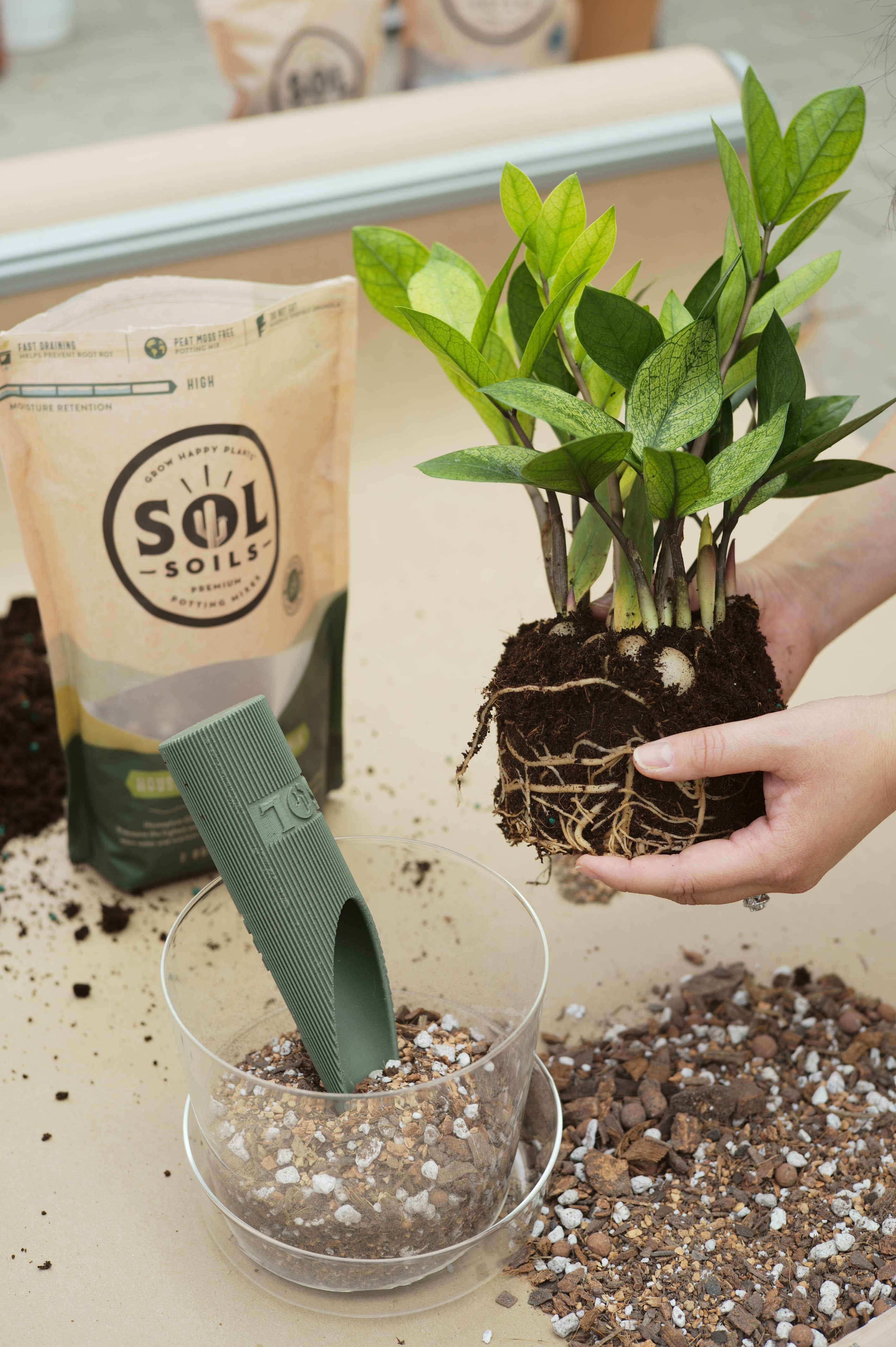 Soil (2Qt) Houseplant Chunky Mix (Aroid/Tropical Soilless) – Mandy
