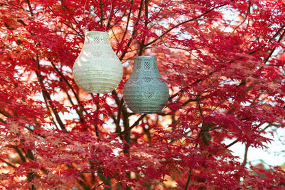 Stella BulbSolar Lantern - Sage