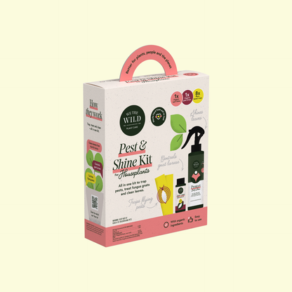 Pest & Shine Kit