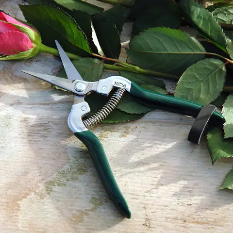 RHS Fruit & Flower Snip