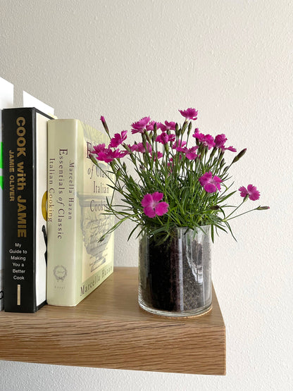 Essential Love | Pinks | Three-Season Floral Gift