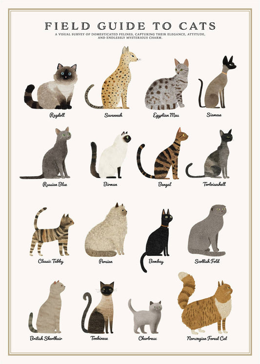 Vintage Posters Wrapping Paper - Cats
