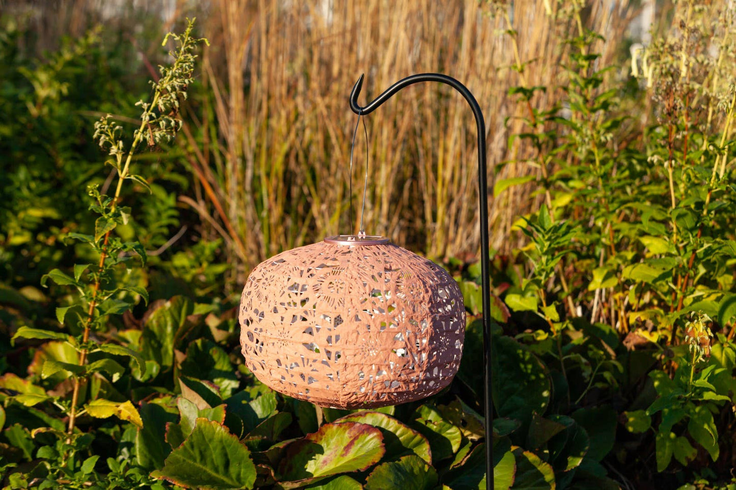 Stella Square Sunflower 11" Solar Lantern - Clay