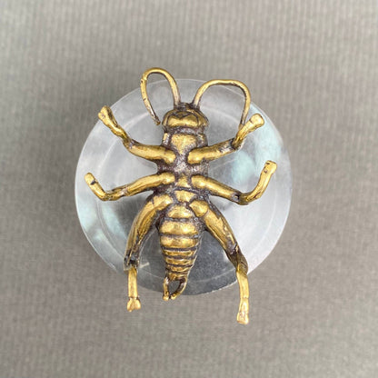 Brass Cricket Crafts Desktop Ornaments Decoration
