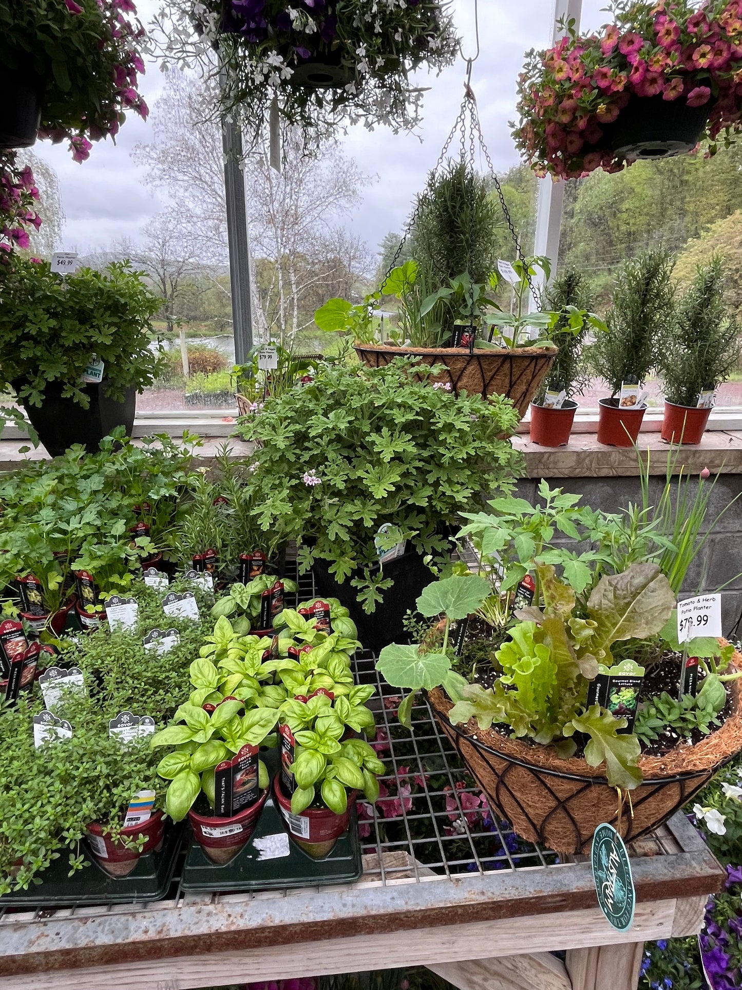 Herbs Assorted