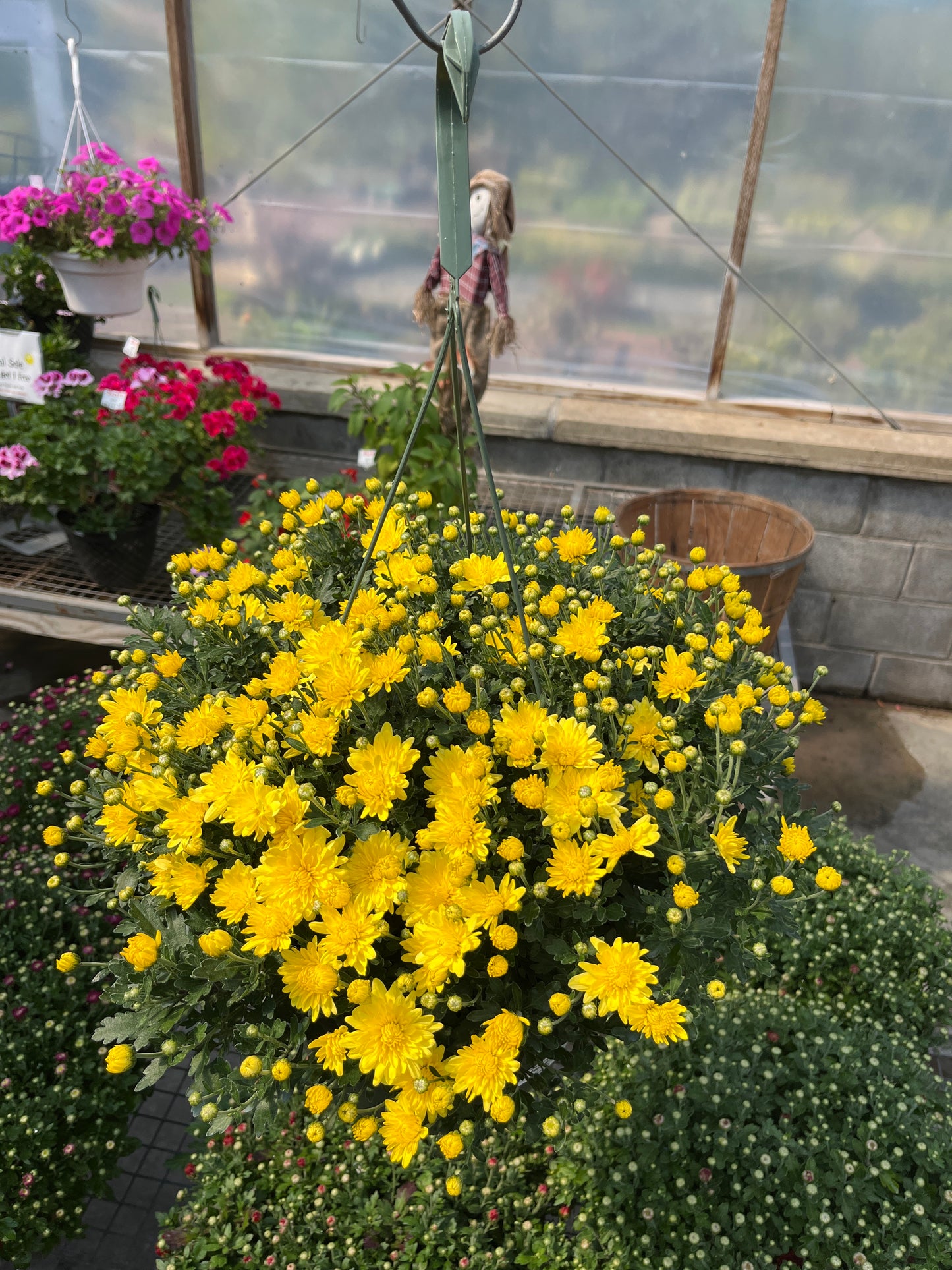 Fall Hanging Basket