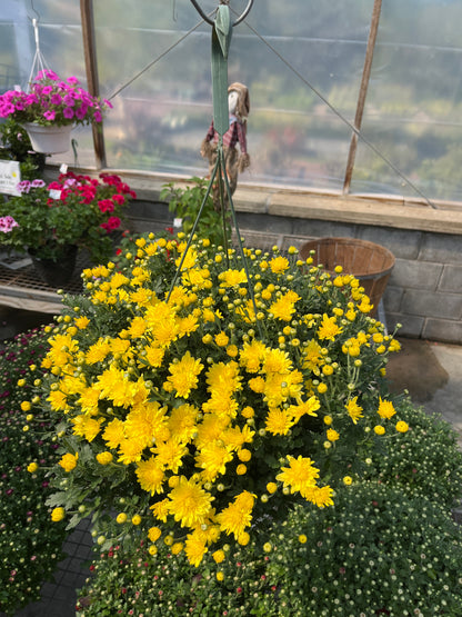 Fall Hanging Basket
