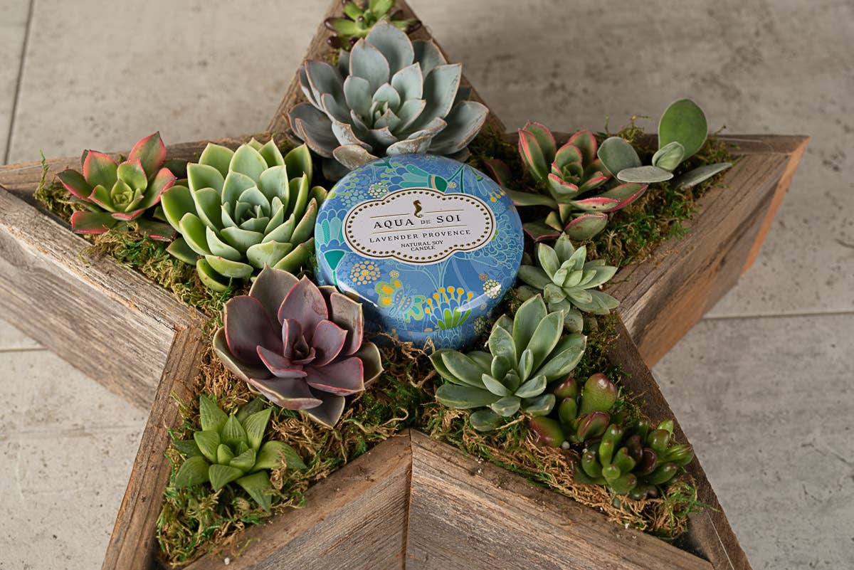 Rustic Star Reclaimed Wood Planter