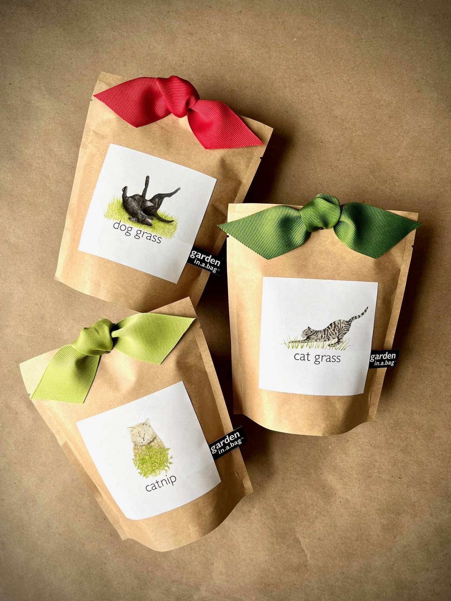 Garden in a Bag | Catnip | Spring Pet Treat Gift