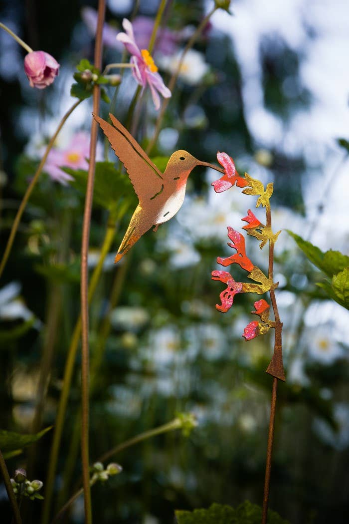 Hummingbird on Salvia Pick -Painted
