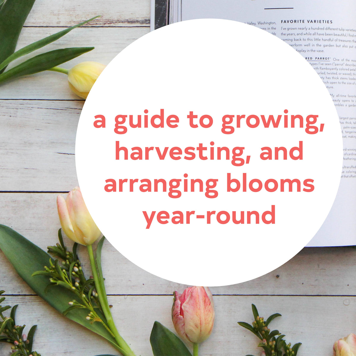 Floret Farm's Cut Flower Garden