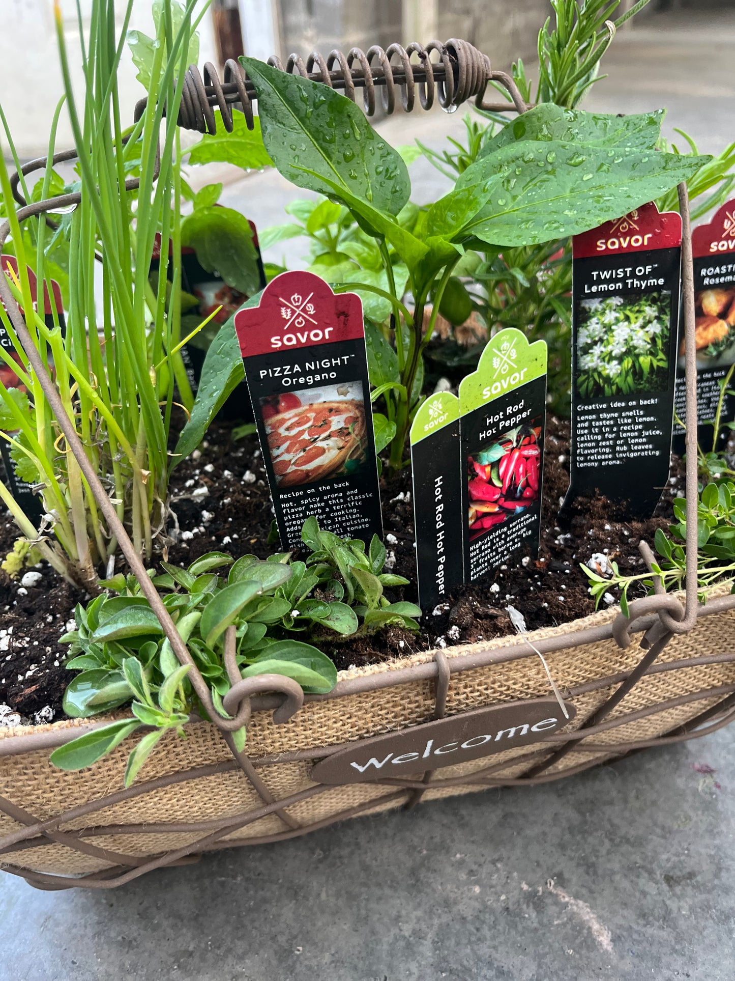 Herbs Assorted