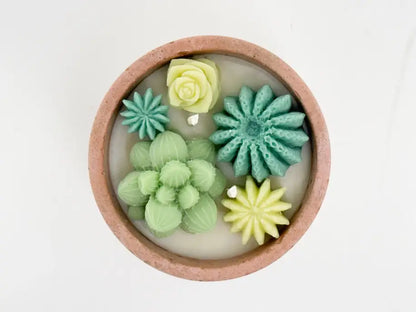 Christmas Succulent Candle - Holiday Nordic Pine & Wassail