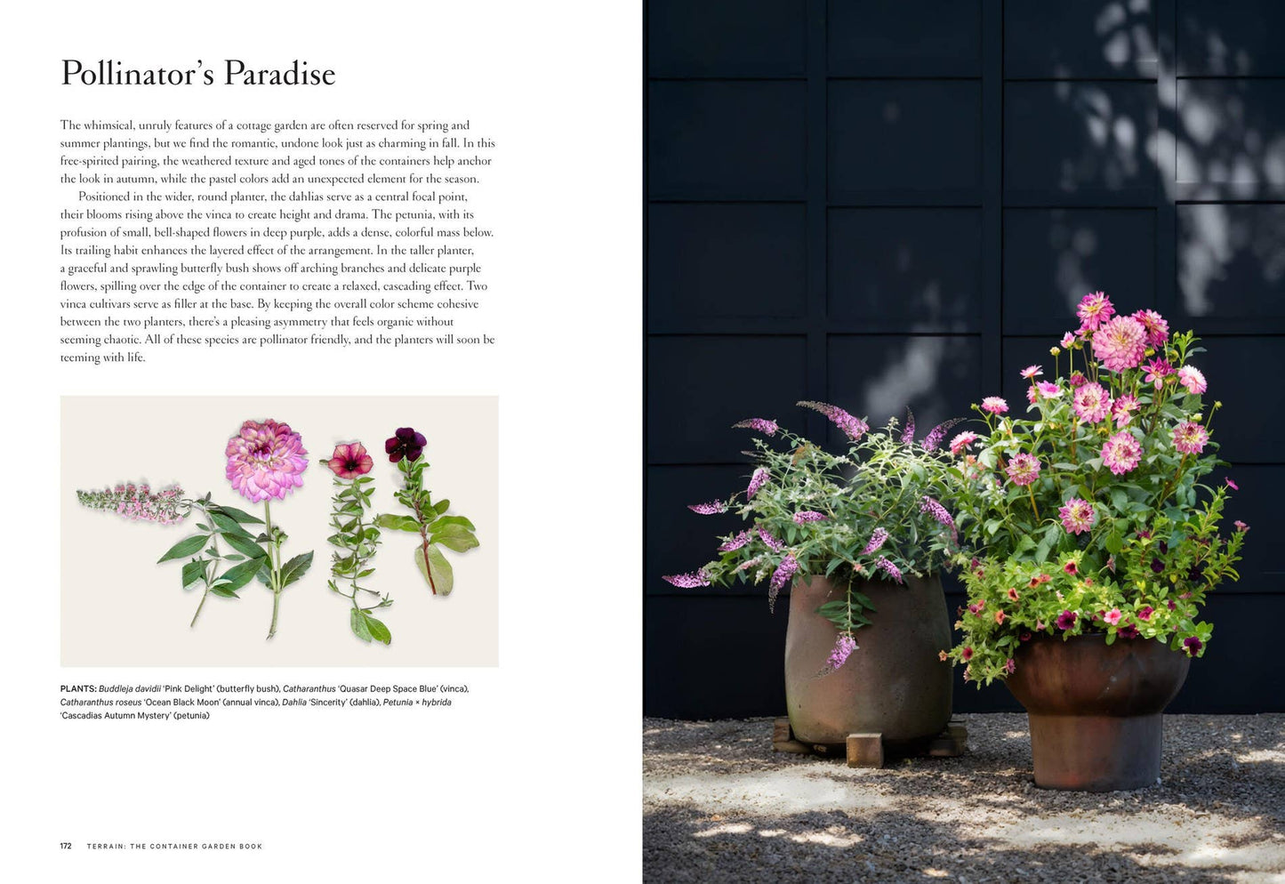 Terrain: The Container Garden Book