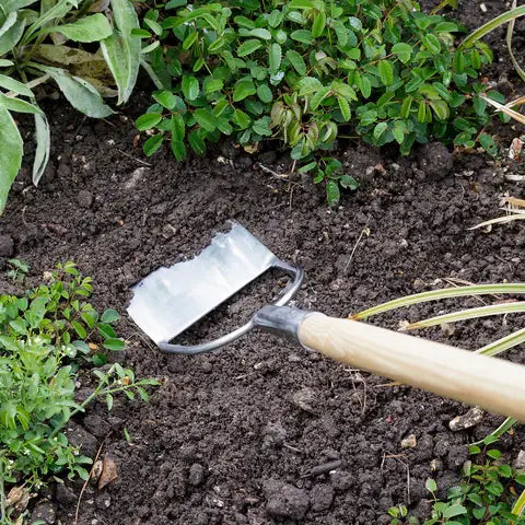 RHS Dutch Hoe