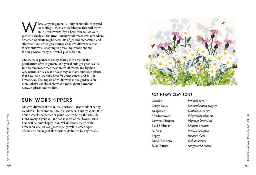 Planting Wildflowers