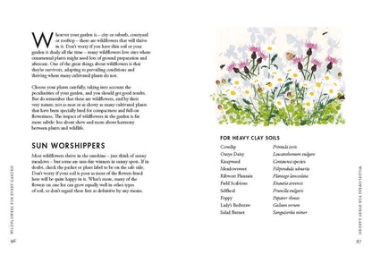 Planting Wildflowers