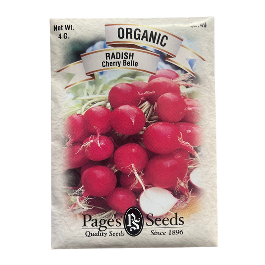 Organic Radish - Cherry Belle Seeds