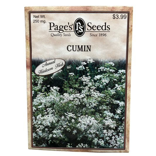 Cumin - Herb Seeds